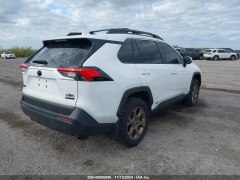 Toyota RAV4 XLE Hybrid 2023 5