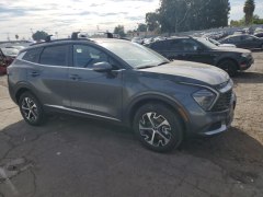 KIA Sportage EX Hybrid 2024 2