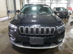 Jeep Cherokee Limited 2019 1