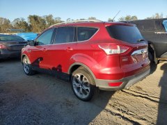 Ford Escape Titanium 2014 5