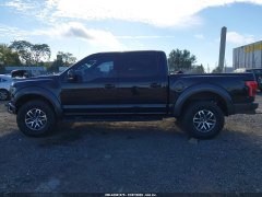 Ford F150 Raptor 2017 7