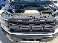 Ford F150 Raptor 2024 10