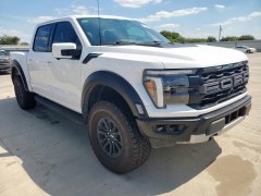 Ford F150 Raptor 2024 2